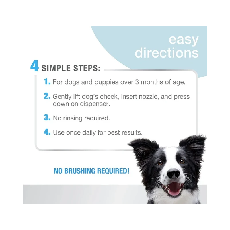 Advanced Oral Care Foaming Tartar Remover2 Advanced Oral Care Foaming Tartar Remover2