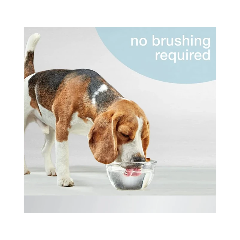 Nylabone Advanced Oral Care Water Additive4 Nylabone Advanced Oral Care Water Additive