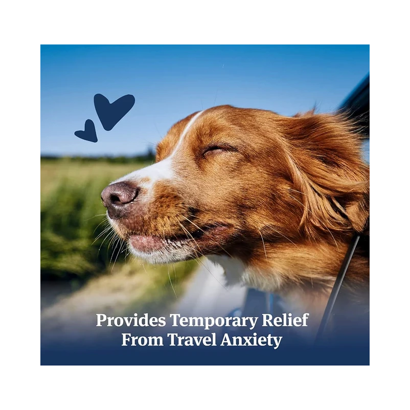 PetArmor Antihistamine Medication for Allergies for Dogs4 PetArmor Antihistamine Medication for Allergies for Dogs