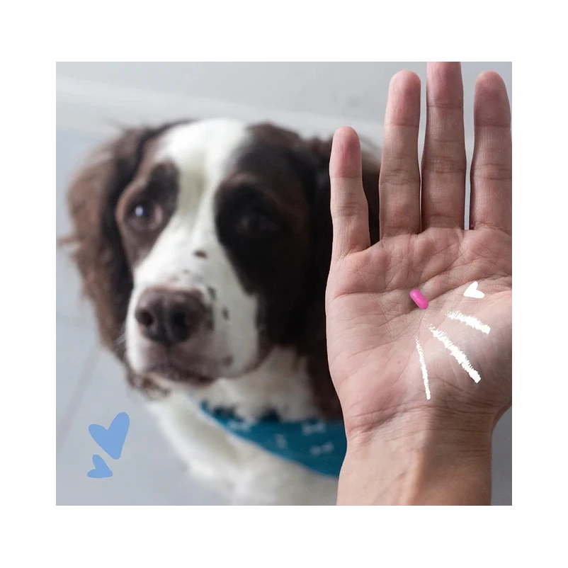 PetArmor Antihistamine Medication for Allergies for Dogs6 PetArmor Antihistamine Medication for Allergies for Dogs