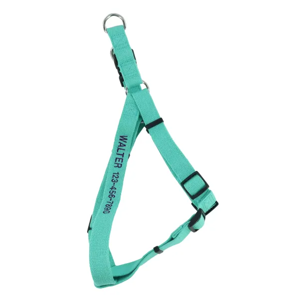 COASTAL-Comfort-Wrap-Harness1.webp COASTAL Comfort Wrap Harness1