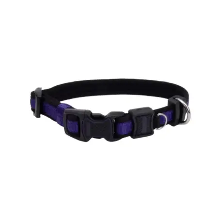 Dog Collars-Leashes