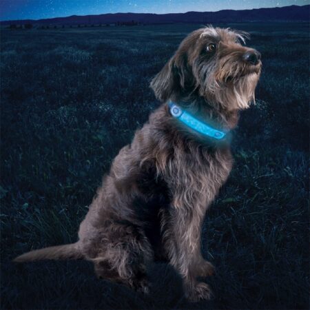 NITE IZE NiteDog Rechargeable LED Collar