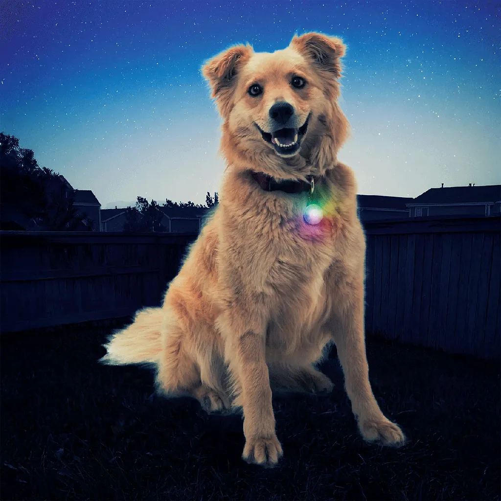 NITE IZE SpotLit Collar NITE IZE SpotLit Collar