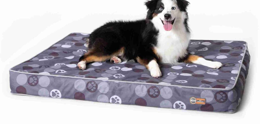 Best Orthopedic Dog Beds for Senior Dogs