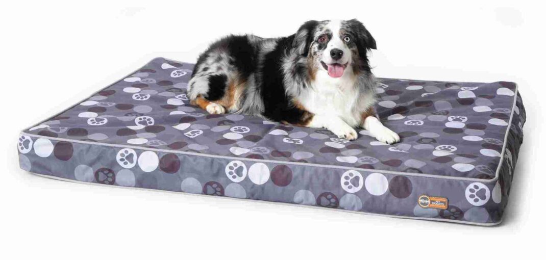 Do Orthopedic Dog Beds Really Help?