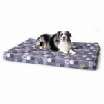 Do Orthopedic Dog Beds Really Help?