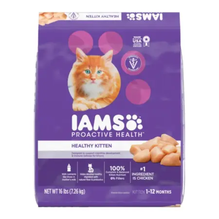 IAMS Proactive Dry Kitten Food