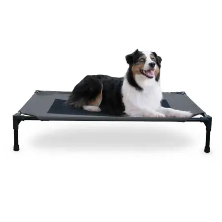 K&H Pet Products Original Pet Cot