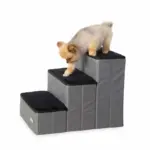 Choosing dog step height