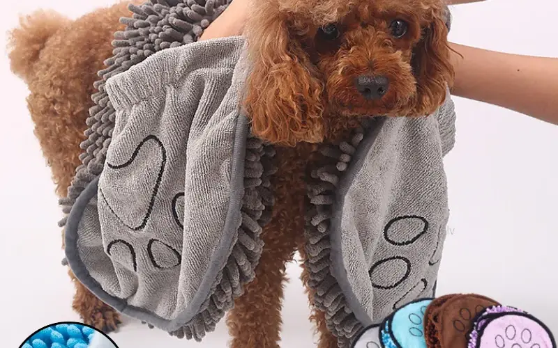 Dog Grooming