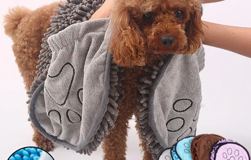 Dog Grooming