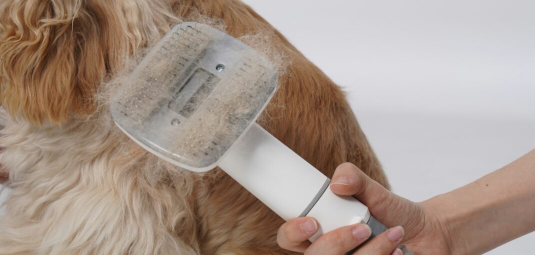curved firm slicker dog-brush