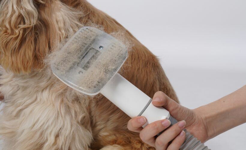 curved firm slicker dog-brush