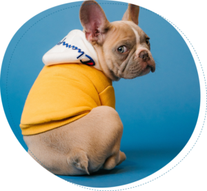 Picture of Sarah Williams